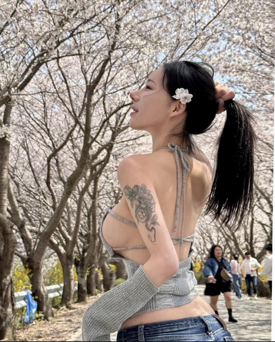Demo photo of cherry blossoms.